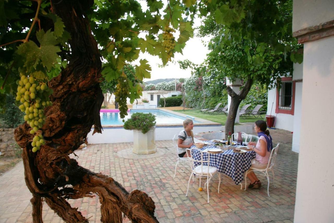 Cortijo El Triguero N-398 Ctra Carmona - El Viso Del Alcor Km 18 Villa Екстериор снимка